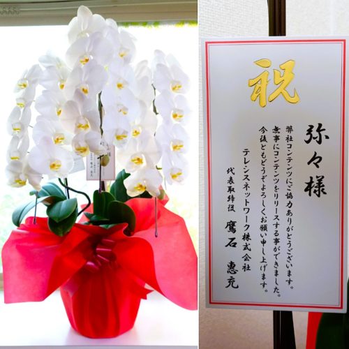 初監修した占いコンテンツサイトのリリース後に届いた胡蝶蘭