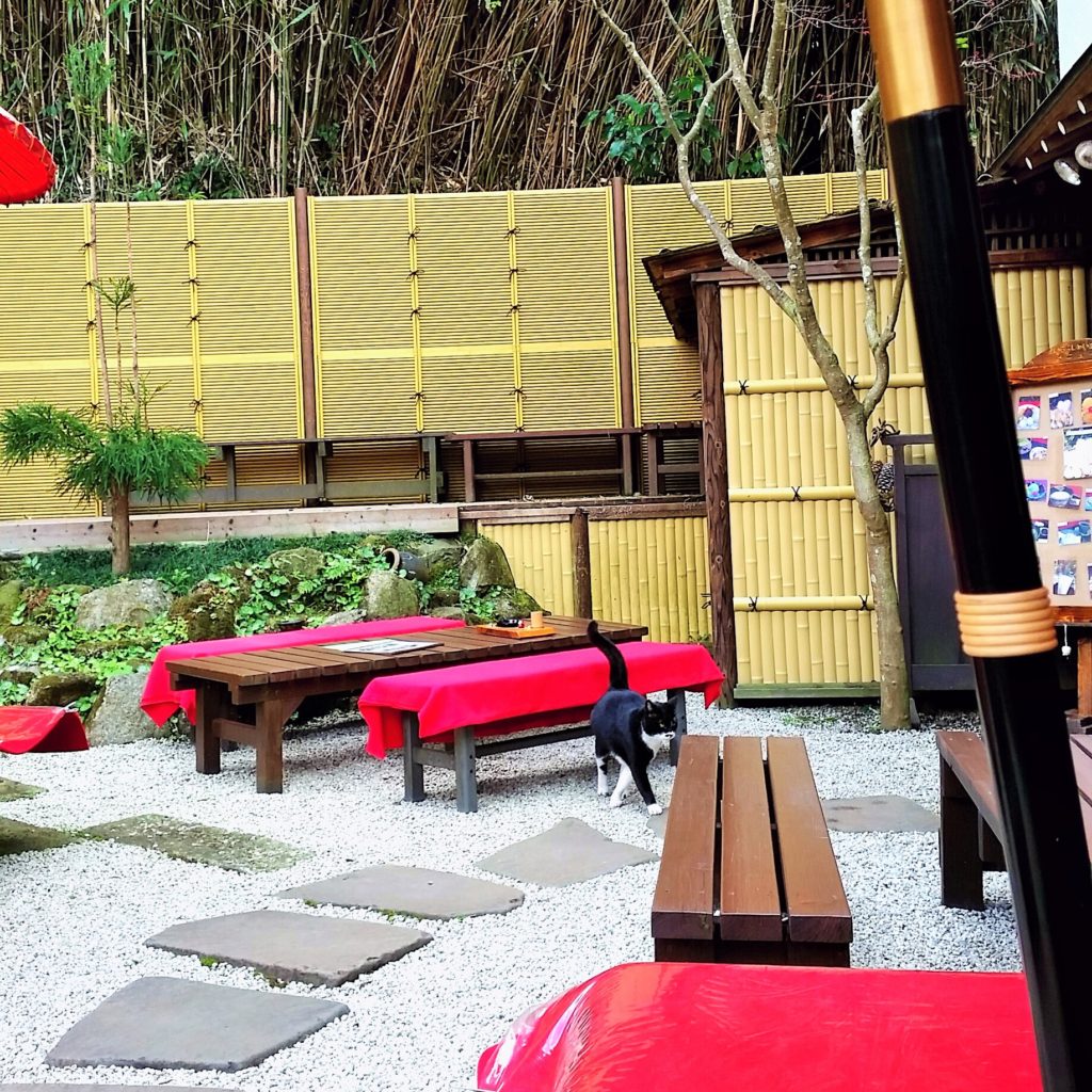 江ノ島内のお茶屋さんと猫