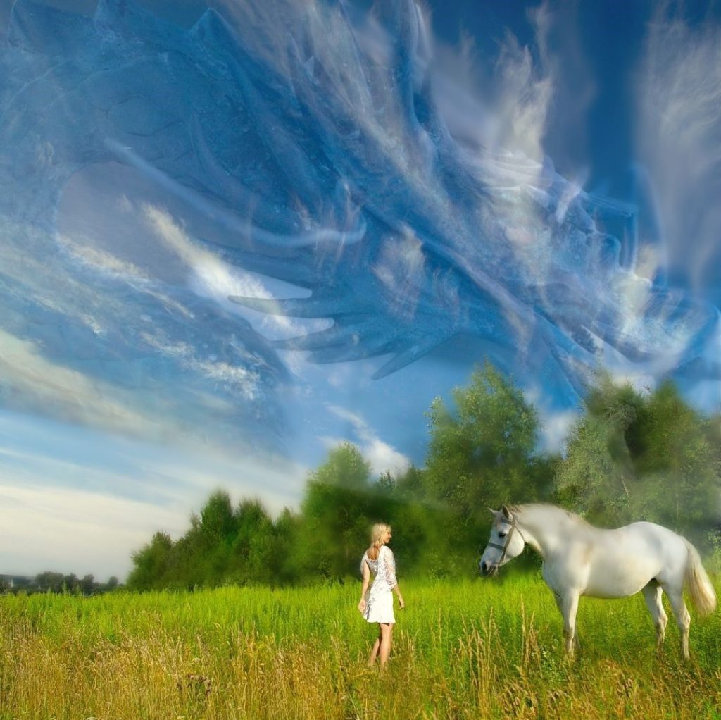 龍の様な青空下と、草原に佇む少女と白馬
