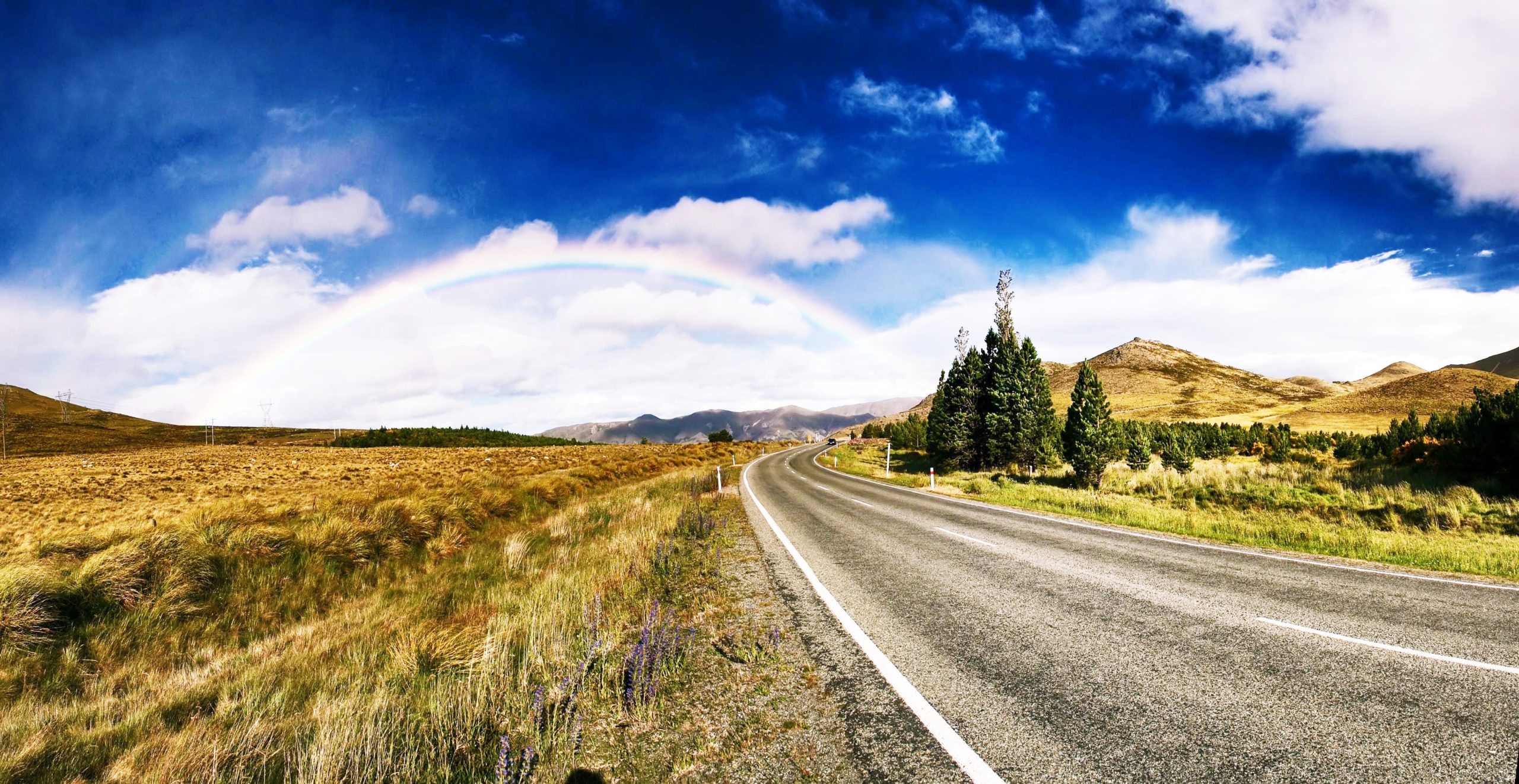 高原の道の先に見える虹